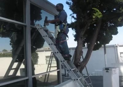 Home Cleaning Services